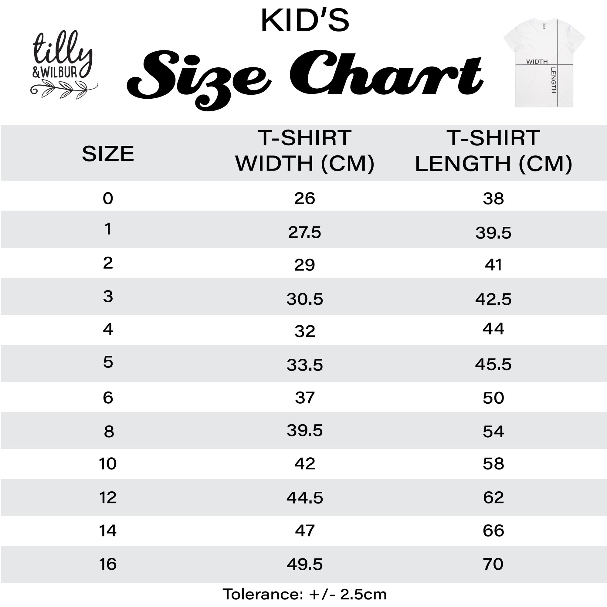 Only Child Big Sister T-Shirt