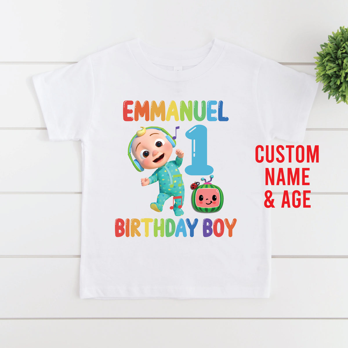 Cocomelon Character Birthday T-Shirt with Custom Name and Age