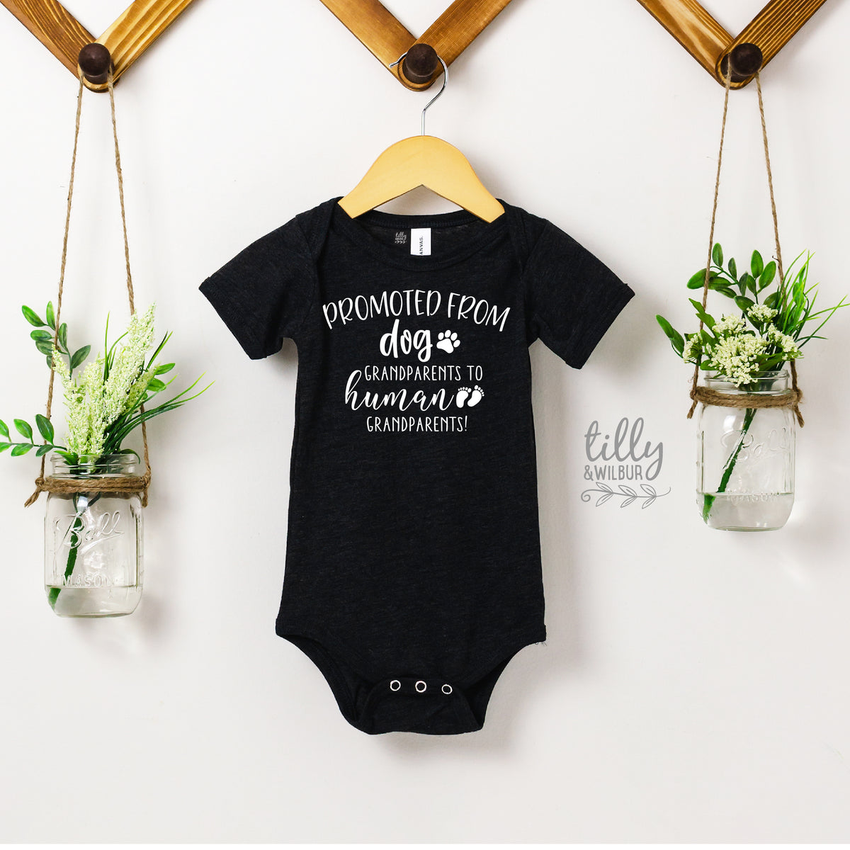 Promoted From Dog Grandparents To Human Grandparents Pregnancy Announcement Bodysuit